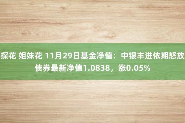 探花 姐妹花 11月29日基金净值：中银丰进依期怒放债券最新净值1.0838，涨0.05%