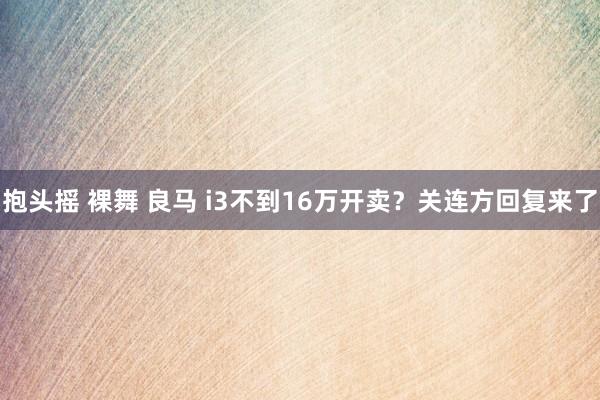 抱头摇 裸舞 良马 i3不到16万开卖？关连方回复来了