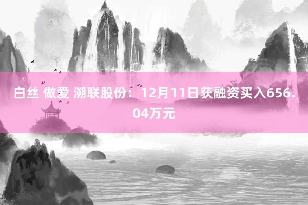 白丝 做爱 溯联股份：12月11日获融资买入656.04万元