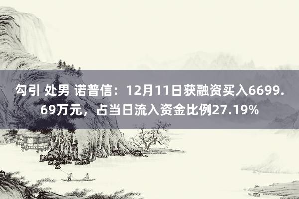 勾引 处男 诺普信：12月11日获融资买入6699.69万元，占当日流入资金比例27.19%