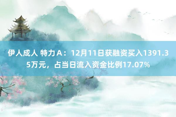 伊人成人 特力Ａ：12月11日获融资买入1391.35万元，占当日流入资金比例17.07%