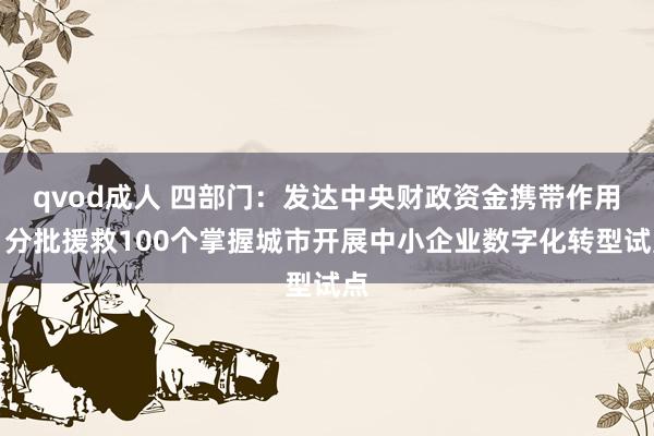 qvod成人 四部门：发达中央财政资金携带作用，分批援救100个掌握城市开展中小企业数字化转型试点