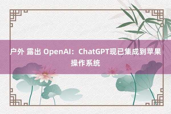 户外 露出 OpenAI：ChatGPT现已集成到苹果操作系统