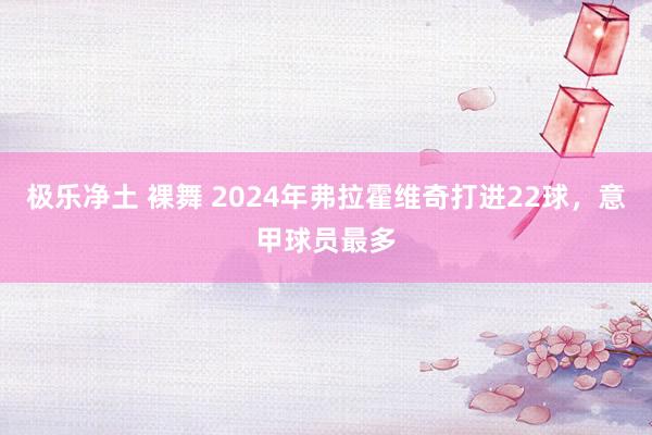 极乐净土 裸舞 2024年弗拉霍维奇打进22球，意甲球员最多