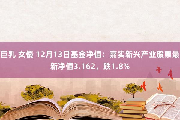 巨乳 女優 12月13日基金净值：嘉实新兴产业股票最新净值3.162，跌1.8%