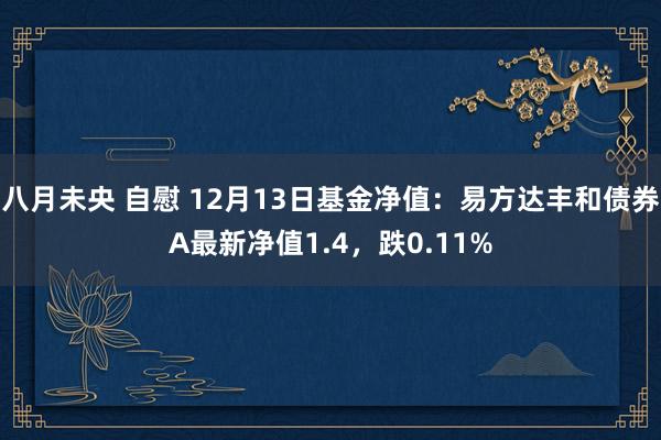 八月未央 自慰 12月13日基金净值：易方达丰和债券A最新净值1.4，跌0.11%