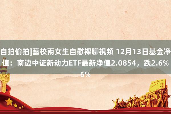 自拍偷拍]藝校兩女生自慰裸聊視頻 12月13日基金净值：南边中证新动力ETF最新净值2.0854，跌2.6%