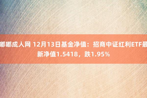 嘟嘟成人网 12月13日基金净值：招商中证红利ETF最新净值1.5418，跌1.95%