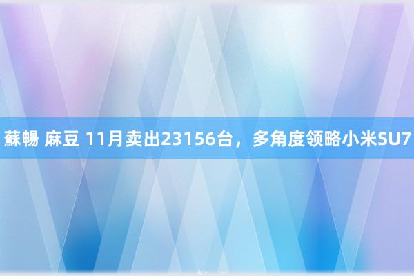 蘇暢 麻豆 11月卖出23156台，多角度领略小米SU7