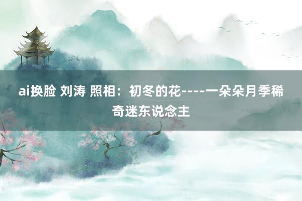 ai换脸 刘涛 照相：初冬的花----一朵朵月季稀奇迷东说念主