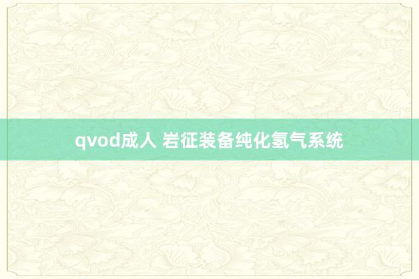 qvod成人 岩征装备纯化氢气系统