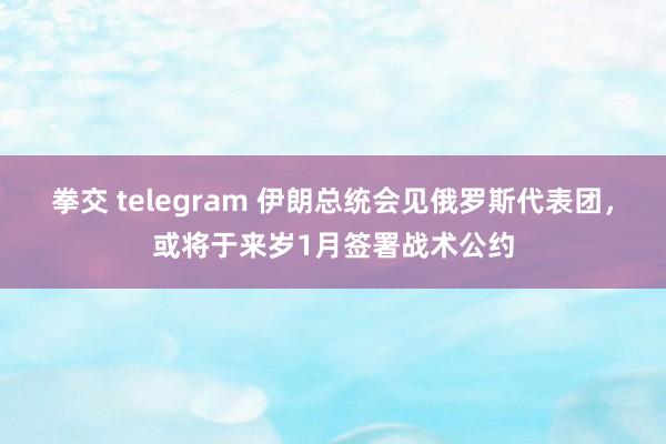 拳交 telegram 伊朗总统会见俄罗斯代表团，或将于来岁1月签署战术公约