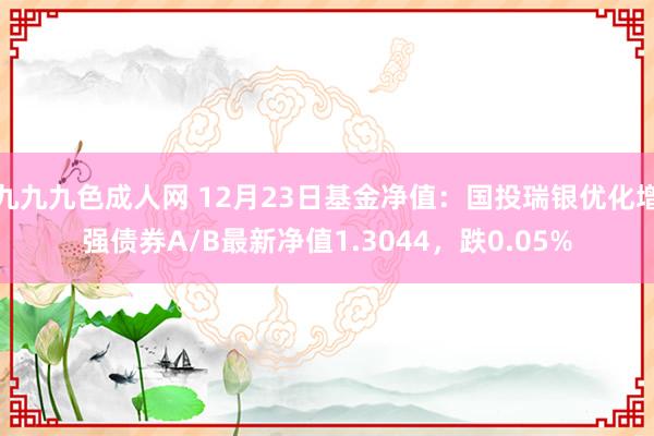 九九九色成人网 12月23日基金净值：国投瑞银优化增强债券A/B最新净值1.3044，跌0.05%