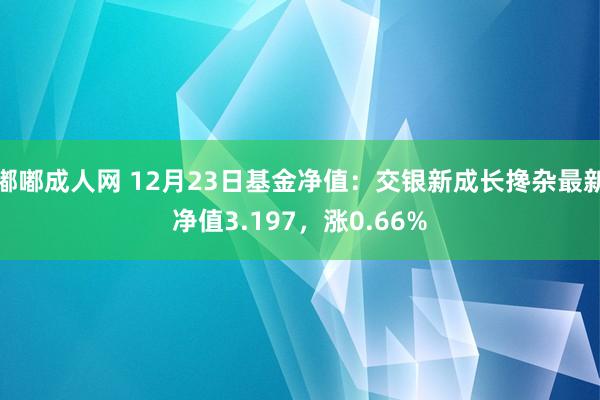 嘟嘟成人网 12月23日基金净值：交银新成长搀杂最新净值3.197，涨0.66%