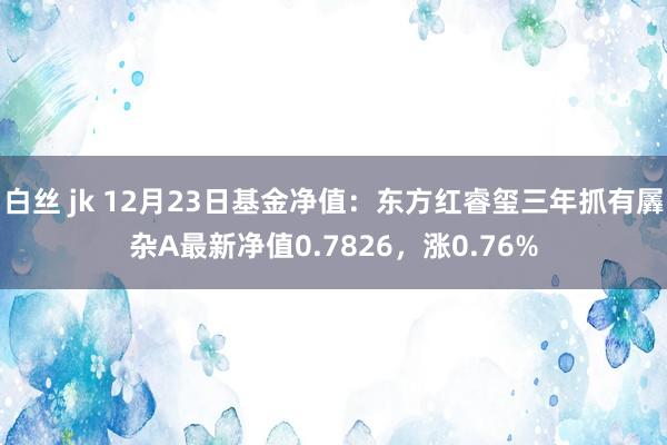 白丝 jk 12月23日基金净值：东方红睿玺三年抓有羼杂A最新净值0.7826，涨0.76%