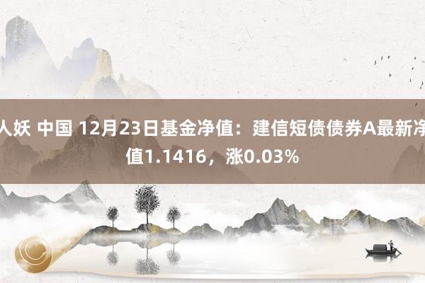 人妖 中国 12月23日基金净值：建信短债债券A最新净值1.1416，涨0.03%