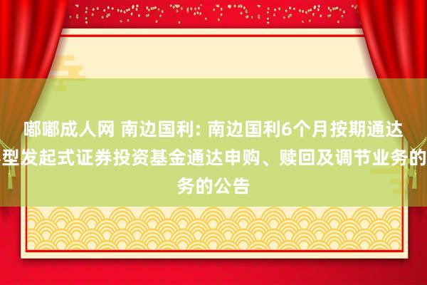 嘟嘟成人网 南边国利: 南边国利6个月按期通达债券型发起式证券投资基金通达申购、赎回及调节业务的公告