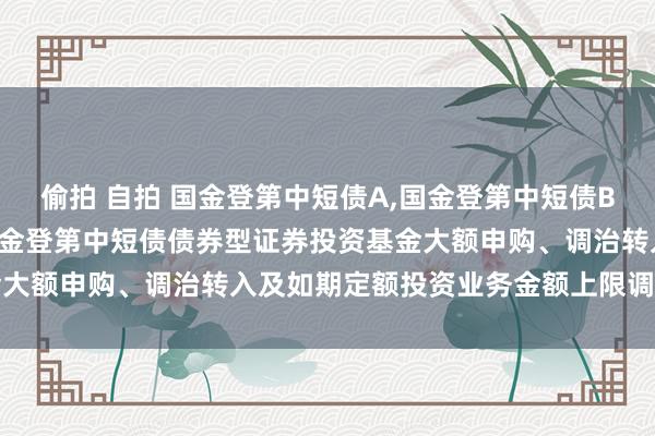 偷拍 自拍 国金登第中短债A，国金登第中短债B: 对于对单个基金账户国金登第中短债债券型证券投资基金大额申购、调治转入及如期定额投资业务金额上限调治的公告