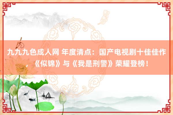 九九九色成人网 年度清点：国产电视剧十佳佳作，《似锦》与《我是刑警》荣耀登榜！