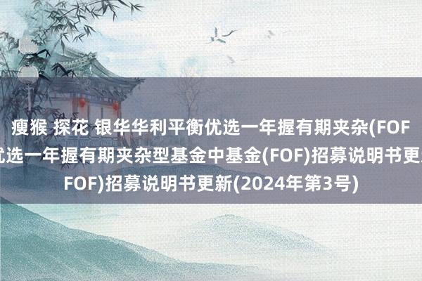 瘦猴 探花 银华华利平衡优选一年握有期夹杂(FOF): 银华华利平衡优选一年握有期夹杂型基金中基金(FOF)招募说明书更新(2024年第3号)