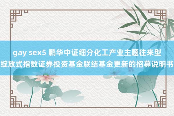 gay sex5 鹏华中证细分化工产业主题往来型绽放式指数证券投资基金联结基金更新的招募说明书