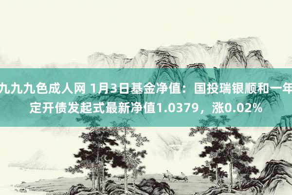 九九九色成人网 1月3日基金净值：国投瑞银顺和一年定开债发起式最新净值1.0379，涨0.02%