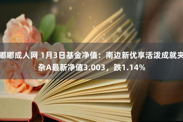 嘟嘟成人网 1月3日基金净值：南边新优享活泼成就夹杂A最新净值3.003，跌1.14%