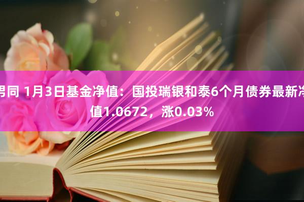 男同 1月3日基金净值：国投瑞银和泰6个月债券最新净值1.0672，涨0.03%