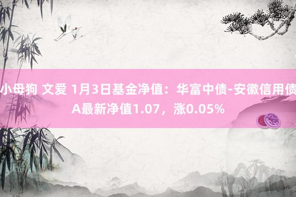 小母狗 文爱 1月3日基金净值：华富中债-安徽信用债A最新净值1.07，涨0.05%