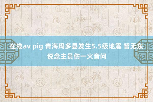 在线av pig 青海玛多县发生5.5级地震 暂无东说念主员伤一火音问