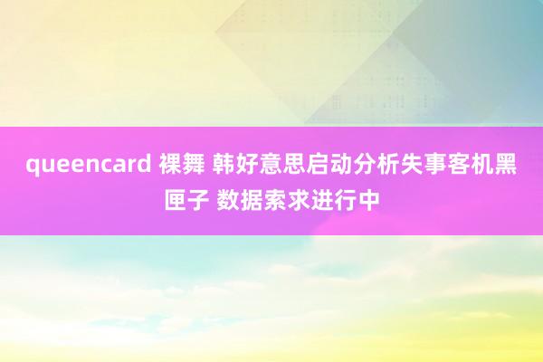 queencard 裸舞 韩好意思启动分析失事客机黑匣子 数据索求进行中