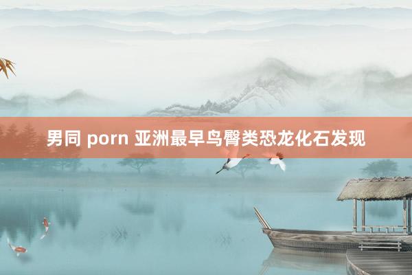 男同 porn 亚洲最早鸟臀类恐龙化石发现