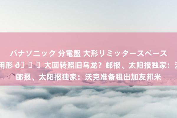 パナソニック 分電盤 大形リミッタースペースなし 露出・半埋込両用形 🙀大回转照旧乌龙？邮报、太阳报独家：沃克准备租出加友邦米