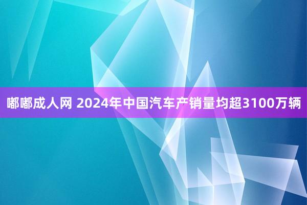 嘟嘟成人网 2024年中国汽车产销量均超3100万辆