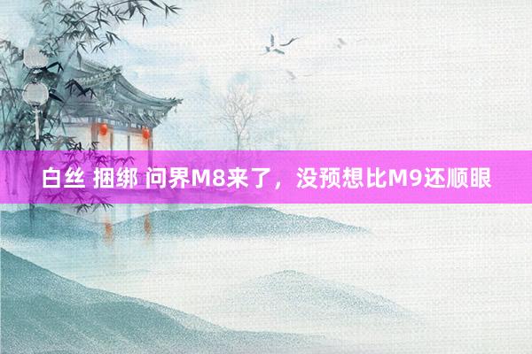 白丝 捆绑 问界M8来了，没预想比M9还顺眼