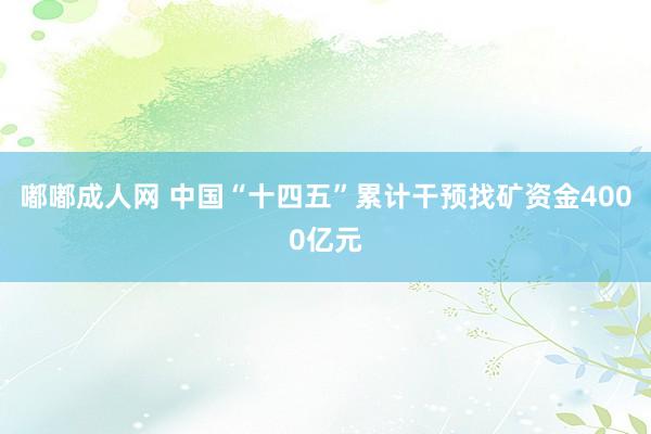 嘟嘟成人网 中国“十四五”累计干预找矿资金4000亿元