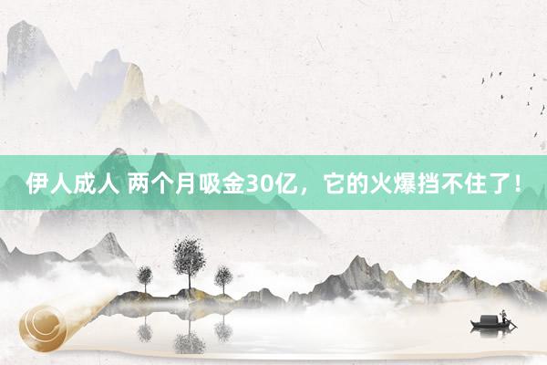 伊人成人 两个月吸金30亿，它的火爆挡不住了！