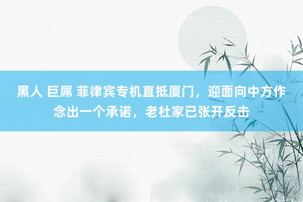 黑人 巨屌 菲律宾专机直抵厦门，迎面向中方作念出一个承诺，老杜家已张开反击