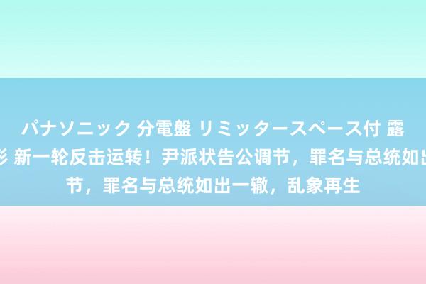 パナソニック 分電盤 リミッタースペース付 露出・半埋込両用形 新一轮反击运转！尹派状告公调节，罪名与总统如出一辙，乱象再生