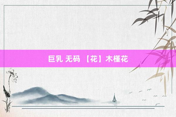 巨乳 无码 【花】木槿花